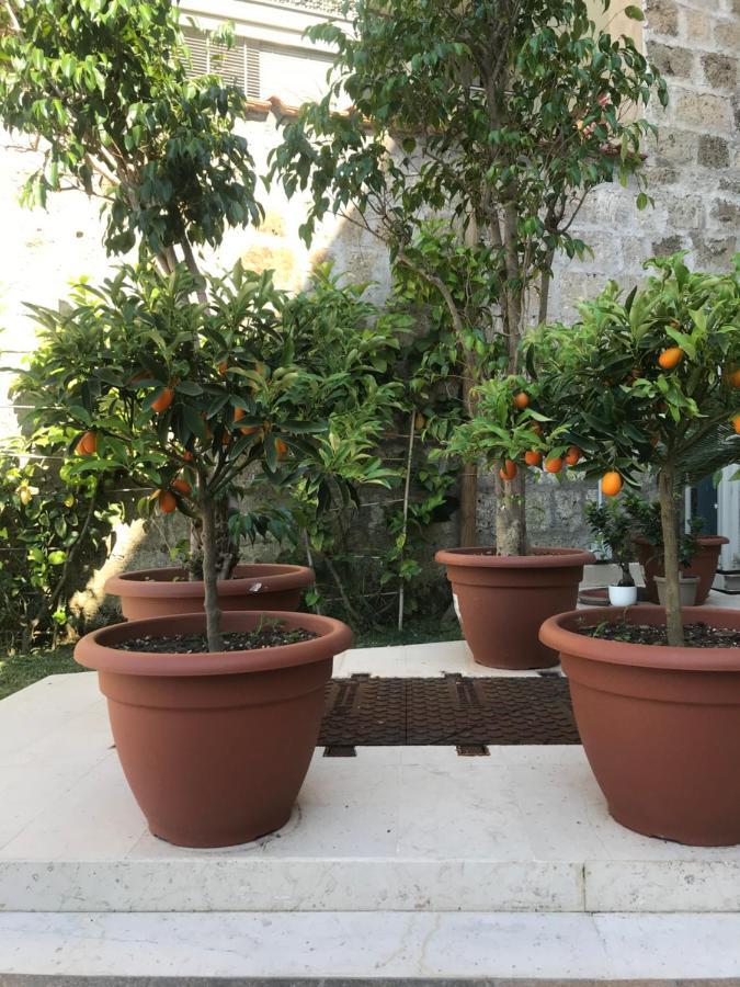 Il Cavaliere Bed And Breakfast Caserta Eksteriør billede